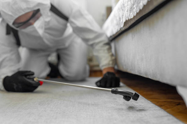 Professional Termite Control technician working in Navarre Beach, FL